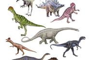 恐龙分类知识（「恐龙来了」恐龙的种类）