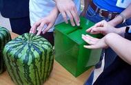 日本方形西瓜是怎么种出来的（7个步骤帮你搞定）