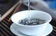 龙井茶可以一年四季都喝吗（这是为什么）