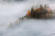 自然界的雾物理现象叫做什么（雾是如何形成的）