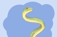 孕妇梦见许多条小蛇是什么意思（并非迷信）