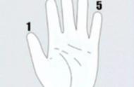人手五个指头的名称分别叫什么（五根手指分别代表了什么含义）