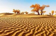 撒哈拉沙漠存在了多久（如果挖空全部沙子）