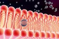 细胞膜的结构与功能教学反思（细胞膜的结构和功能浅析）