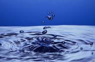 人体含水量百分比最高的器官是哪个部位（人体含水量最多的器官是哪个）