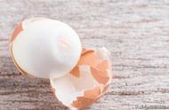 黄瓜鸡蛋减肥最好方法（坚持一周）