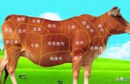 牛上脑位置图解（五分钟让你认识牛肉的各个部位与吃法）