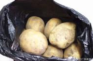 怎样保存土豆才能不发芽（直接放地上就错了）