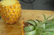 如何自己栽培菠萝（菠萝怎么在家种植）