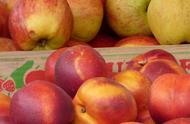 油桃的营养价值及功效（常吃3种食物）