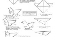 鸽子的折纸法图解（鸽子折纸图解）