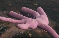 世界上最大的粉色兔子（它原本可以活到2025年）