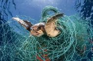 每年有多少动物因为海洋垃圾死亡（每年海中850万吨垃圾流向何处）