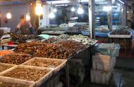 翡翠贝壳的寓意（蛤、蚌、蚶、蚬……菜市场里的贝壳你都认识吗）