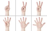 为什么有些人会有六个手指头（为什么有的人生下来就有6根手指）