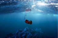 垃圾对海洋生物危害图片（200斤海龟被6斤海洋垃圾“撑死”）
