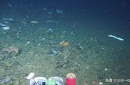 海底6000米深处有生物吗（发现新物种）