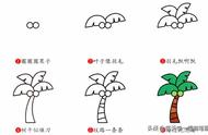 画椰子树（每天学一幅简笔画--椰子树简笔画步骤图片大全）