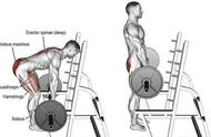 锻炼背部肌肉的方法和技巧（背部肌肉锻炼的8大动作要领）