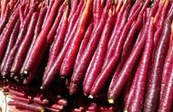 紫色胡萝卜可以生吃吗（你没见过的原始品种）