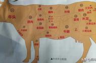 牛板筋是牛的哪个部位生产的（每个部位有什么不同）
