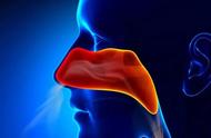 鼻咽癌预防方法（认识和预防“鼻咽癌”实用指南）