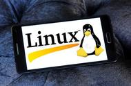 什么地方用linux系统（为什么大部分服务器都用Linux系统）
