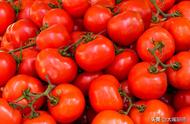 西红柿如何吃不破坏营养（老菜农教你4招）