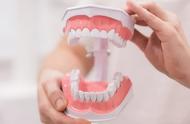 牙齿分类门齿犬齿和臼齿（为什么人类的牙齿有着不同的大小和形状）