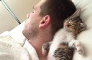 为什么猫咪喜欢靠着我睡觉（不是表达爱意）