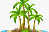 椰子树生长在沙滩上吗（为什么椰子树多生长在海边）