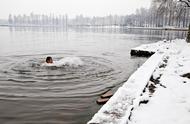 冬泳一周游泳几次为好（在寒冷的冬天下河游泳）