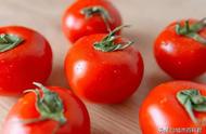 西红柿生吃多了对身体有害吗（可能存在致癌的风险）