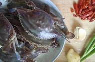 青蟹怎么烧好吃简单（红烧螃蟹做法简单而且肉质鲜嫩入味）