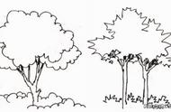 大树的十种画法简单（这四种树的画法可以给你启发）