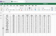 excel怎么把表格放大和缩小（如何调整Excel表格的显示比例）