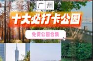 目前广州有哪些免费公园（广州十个必打卡公园(免费篇)）