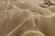世界最大的流动沙漠（最大的流动沙漠）