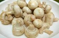 豆腐炒蘑菇的做法（蘑菇炒豆腐）