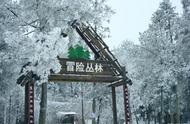 重庆冬季值得玩的地方（这些地方免费）